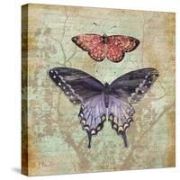Vintage Butterflies IV-Paul Brent-Stretched Canvas