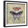 Vintage Butterflies IV-Paul Brent-Framed Premium Giclee Print