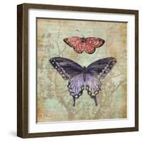 Vintage Butterflies IV-Paul Brent-Framed Art Print