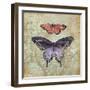 Vintage Butterflies IV-Paul Brent-Framed Art Print