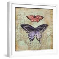 Vintage Butterflies IV-Paul Brent-Framed Art Print