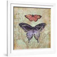 Vintage Butterflies IV-Paul Brent-Framed Art Print