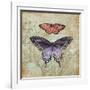 Vintage Butterflies IV-Paul Brent-Framed Art Print