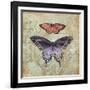 Vintage Butterflies IV-Paul Brent-Framed Art Print