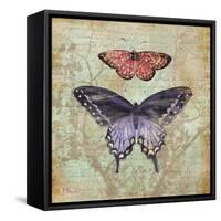 Vintage Butterflies IV-Paul Brent-Framed Stretched Canvas