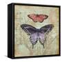 Vintage Butterflies IV-Paul Brent-Framed Stretched Canvas