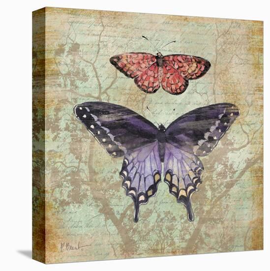 Vintage Butterflies IV-Paul Brent-Stretched Canvas