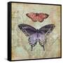 Vintage Butterflies IV-Paul Brent-Framed Stretched Canvas