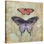 Vintage Butterflies IV-Paul Brent-Stretched Canvas