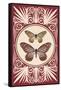 Vintage Butterfly Duo-null-Framed Stretched Canvas