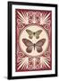 Vintage Butterfly Duo-null-Framed Art Print