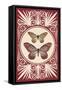 Vintage Butterfly Duo-null-Framed Stretched Canvas