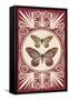 Vintage Butterfly Duo-null-Framed Stretched Canvas