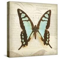 Vintage Butterfly I-Amy Melious-Stretched Canvas