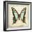 Vintage Butterfly I-Amy Melious-Framed Art Print