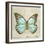 Vintage Butterfly II-Amy Melious-Framed Art Print