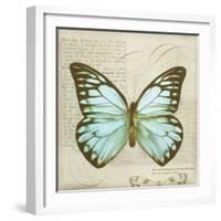 Vintage Butterfly II-Amy Melious-Framed Art Print