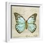 Vintage Butterfly II-Amy Melious-Framed Art Print