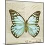 Vintage Butterfly II-Amy Melious-Mounted Art Print