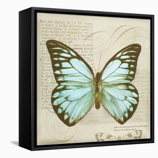 Vintage Butterfly II-Amy Melious-Framed Stretched Canvas