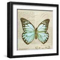 Vintage Butterfly II-Amy Melious-Framed Art Print