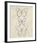 Vintage Butterfly Sketch I-June Erica Vess-Framed Giclee Print