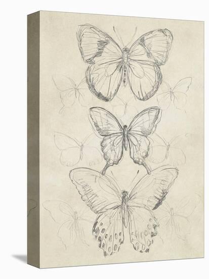 Vintage Butterfly Sketch I-June Erica Vess-Stretched Canvas