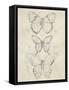 Vintage Butterfly Sketch I-June Erica Vess-Framed Stretched Canvas
