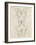 Vintage Butterfly Sketch I-June Erica Vess-Framed Art Print