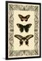Vintage Butterfly Trio-null-Framed Art Print