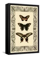 Vintage Butterfly Trio-null-Framed Stretched Canvas