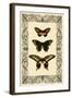 Vintage Butterfly Trio-null-Framed Art Print