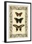 Vintage Butterfly Trio-null-Framed Art Print