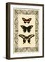 Vintage Butterfly Trio-null-Framed Art Print