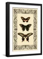 Vintage Butterfly Trio-null-Framed Art Print