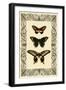 Vintage Butterfly Trio-null-Framed Art Print