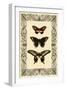 Vintage Butterfly Trio-null-Framed Art Print