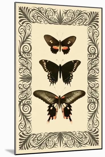 Vintage Butterfly Trio-null-Mounted Art Print