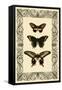Vintage Butterfly Trio-null-Framed Stretched Canvas