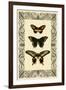 Vintage Butterfly Trio-null-Framed Art Print