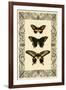 Vintage Butterfly Trio-null-Framed Art Print