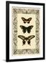 Vintage Butterfly Trio-null-Framed Art Print