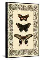 Vintage Butterfly Trio-null-Framed Stretched Canvas