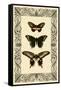 Vintage Butterfly Trio-null-Framed Stretched Canvas