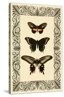 Vintage Butterfly Trio-null-Stretched Canvas