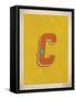 Vintage C-Kindred Sol Collective-Framed Stretched Canvas