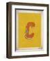 Vintage C-Kindred Sol Collective-Framed Art Print