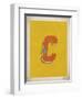 Vintage C-Kindred Sol Collective-Framed Art Print