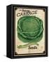 Vintage Cabbage Seed Packet-null-Framed Stretched Canvas