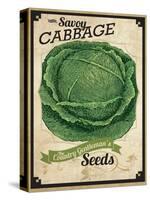 Vintage Cabbage Seed Packet-null-Stretched Canvas